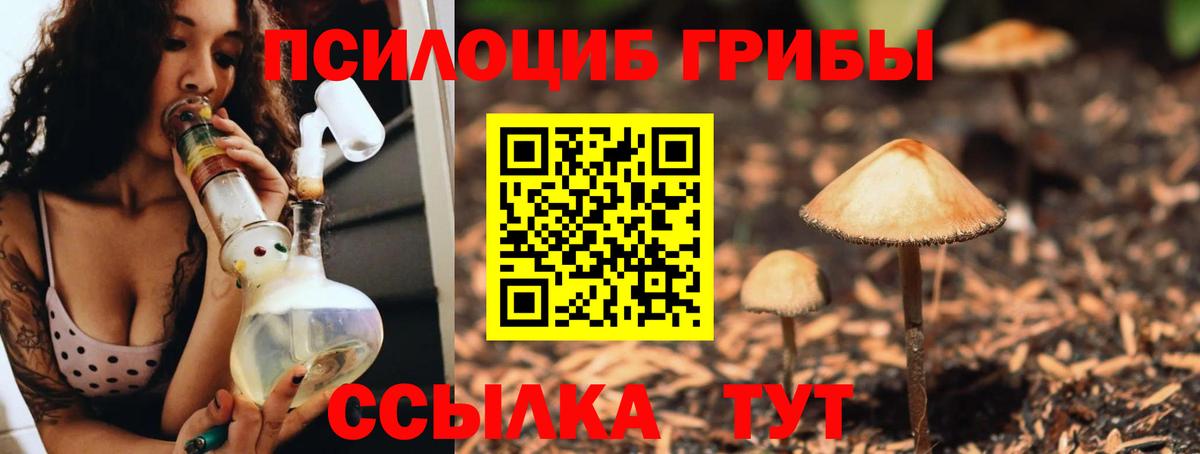 Галлюциногенные грибы MAGIC MUSHROOMS  Вход с VPN  Псилоцибиновые грибы мицелий  Губкинский 